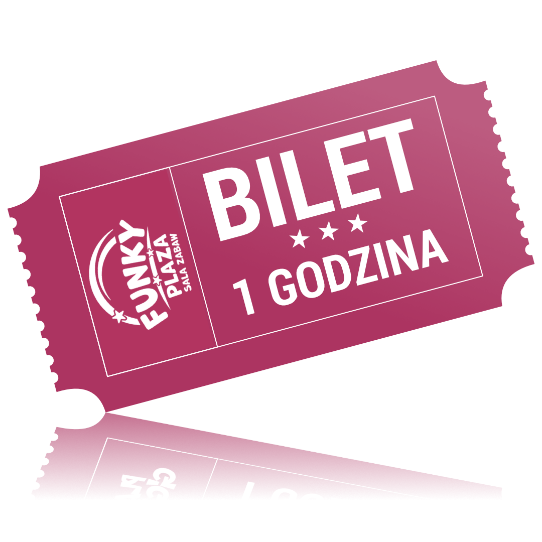Bilet wstepu